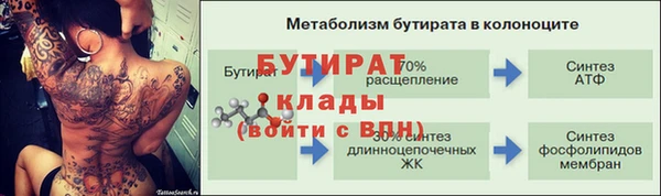 прущие грибы Медвежьегорск