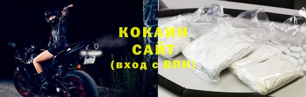 прущие грибы Медвежьегорск