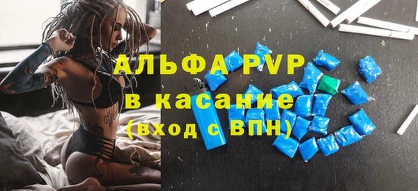 прущие грибы Медвежьегорск