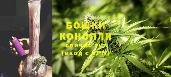 прущие грибы Медвежьегорск