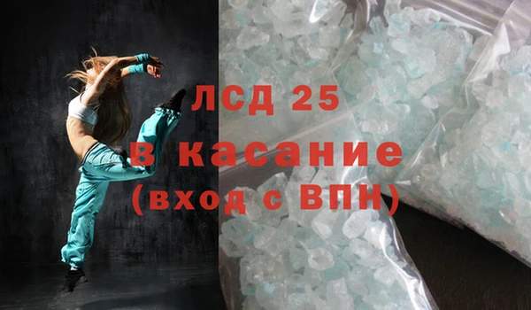 прущие грибы Медвежьегорск