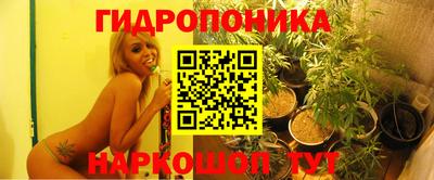 сатива Комсомольск-на-Амуре
