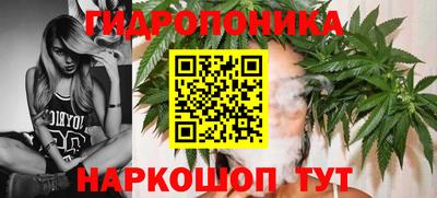 сатива Комсомольск-на-Амуре