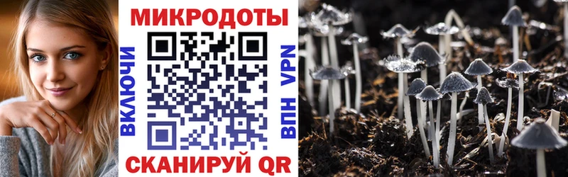 Псилоцибиновые грибы мицелий  OMG ONION  Салават 