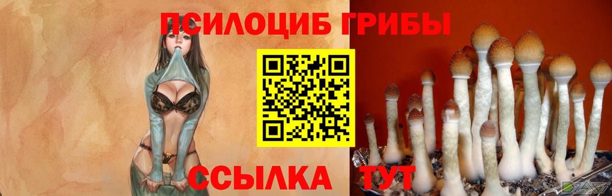 Галлюциногенные грибы ЛСД  Галлюциногенные грибы мухоморы  продажа наркотиков  Вход с VPN  Салават 
